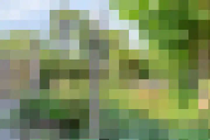 Oost Voorgors 21 Middelharnis thumbnail 34