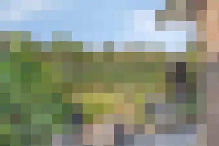 Oost Voorgors 21 Middelharnis thumbnail 35