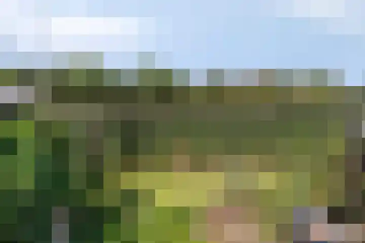 Oost Voorgors 21 Middelharnis thumbnail 36