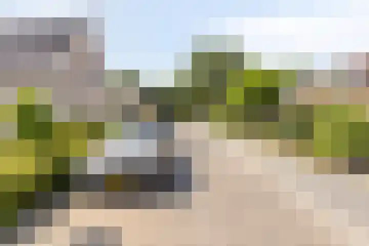 Oost Voorgors 21 Middelharnis thumbnail 37