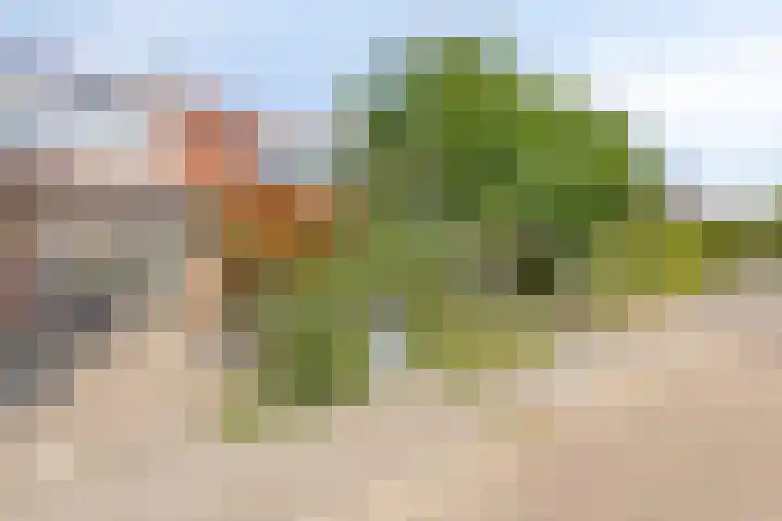 Oost Voorgors 21 Middelharnis thumbnail 39