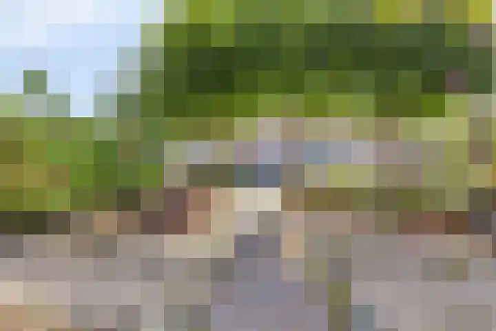 Oost Voorgors 21 Middelharnis thumbnail 40
