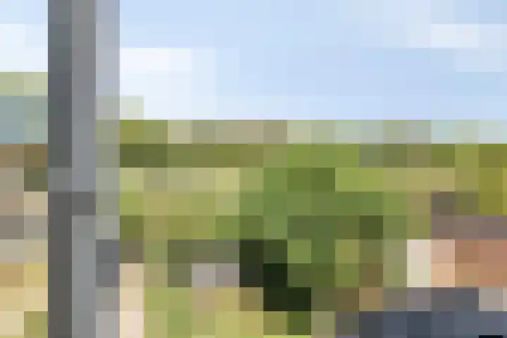 Oost Voorgors 21 Middelharnis thumbnail 42