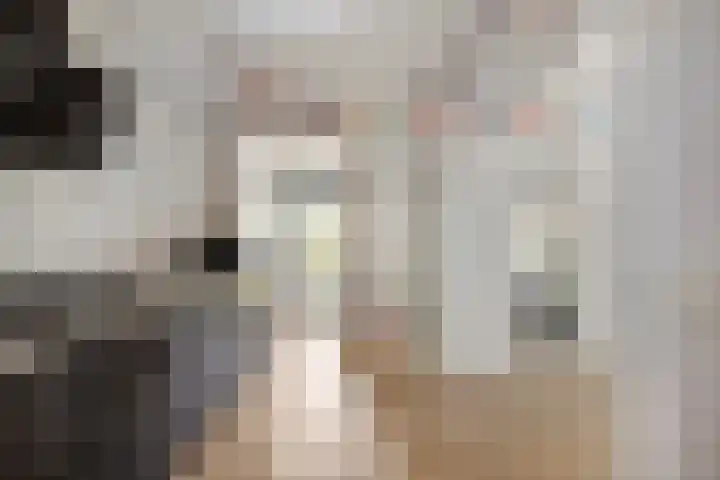 Oost Voorgors 21 Middelharnis thumbnail 5