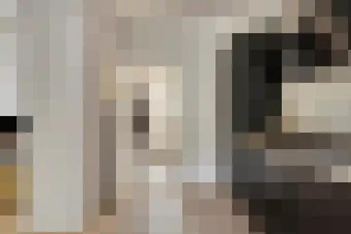 Oost Voorgors 21 Middelharnis thumbnail 6