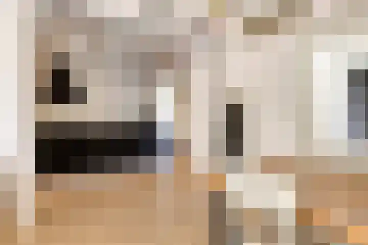 Oost Voorgors 21 Middelharnis thumbnail 7