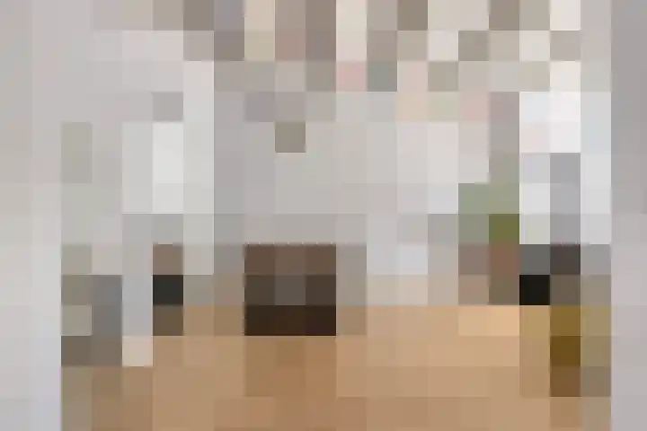 Oost Voorgors 21 Middelharnis thumbnail 8
