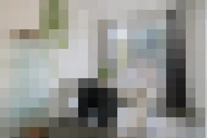 Oost Voorgors 26 Middelharnis thumbnail 10