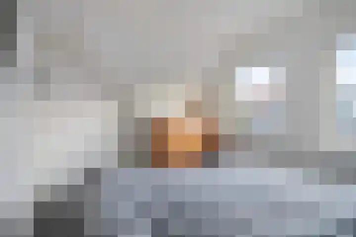 Oost Voorgors 26 Middelharnis thumbnail 20