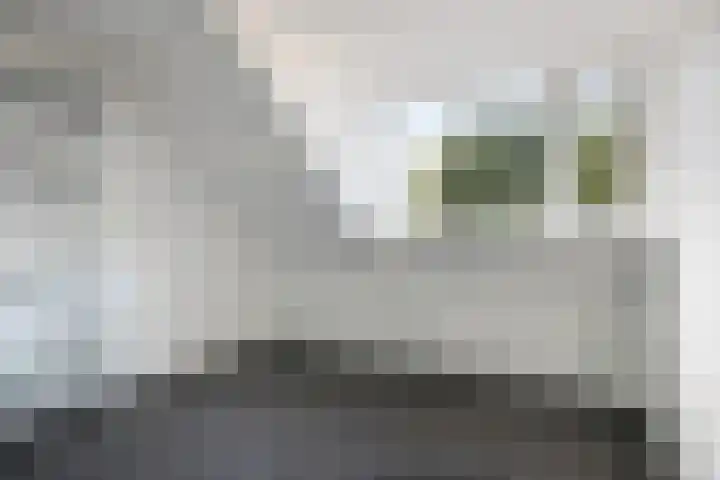 Oost Voorgors 26 Middelharnis thumbnail 21