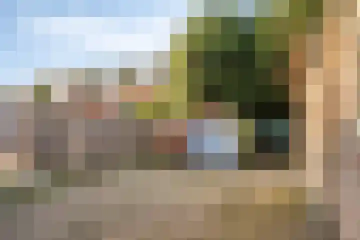 Oost Voorgors 26 Middelharnis thumbnail 27