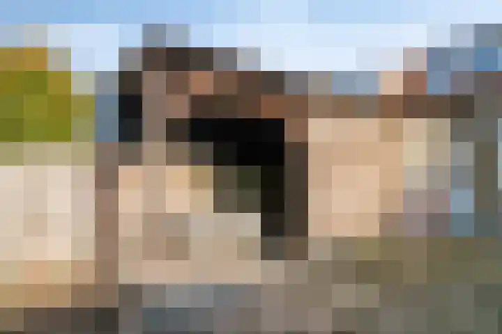 Oost Voorgors 26 Middelharnis thumbnail 28
