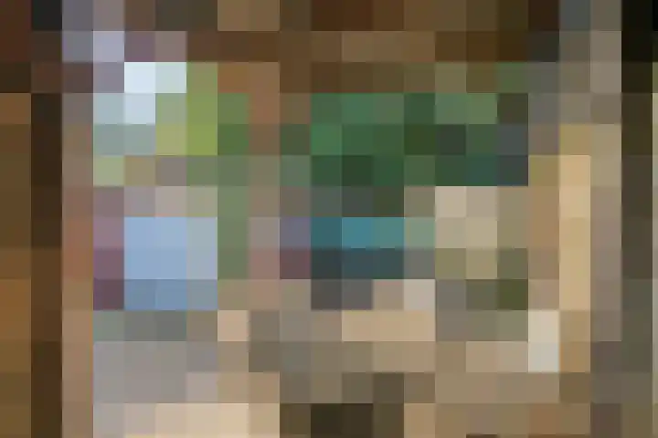 Oost Voorgors 26 Middelharnis thumbnail 29