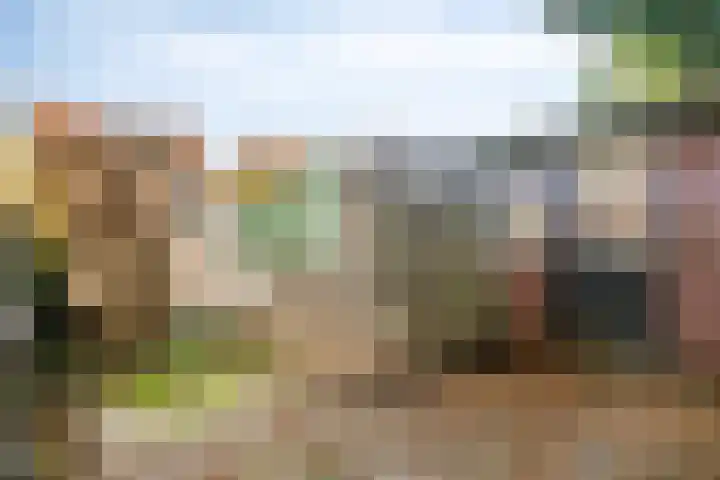 Oost Voorgors 26 Middelharnis thumbnail 33