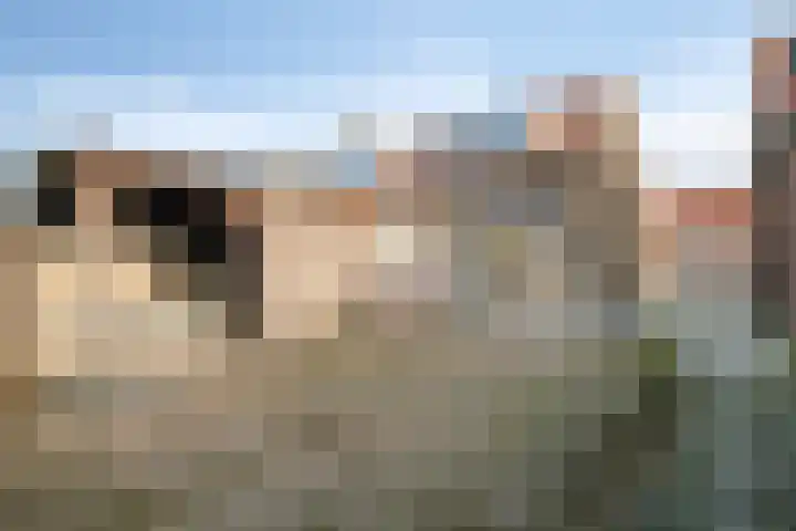 Oost Voorgors 26 Middelharnis thumbnail 4