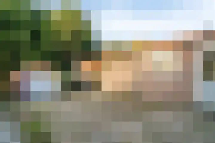 Oost Voorgors 26 Middelharnis thumbnail 5
