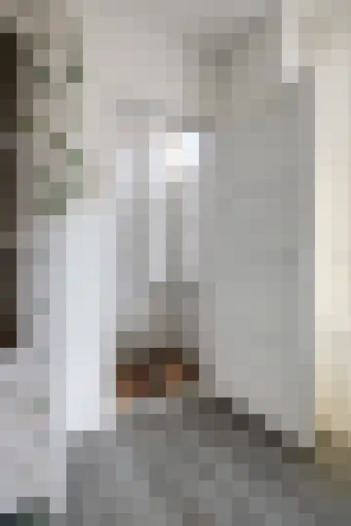 Oost Voorgors 26 Middelharnis thumbnail 7