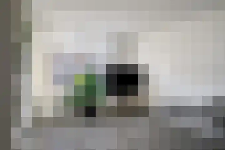 Oost Voorgors 26 Middelharnis thumbnail 8
