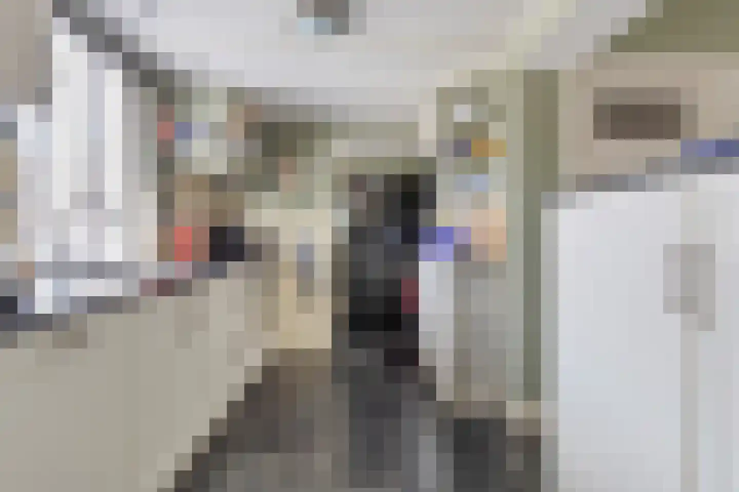 Oost Voorgors 40 Middelharnis thumbnail 15