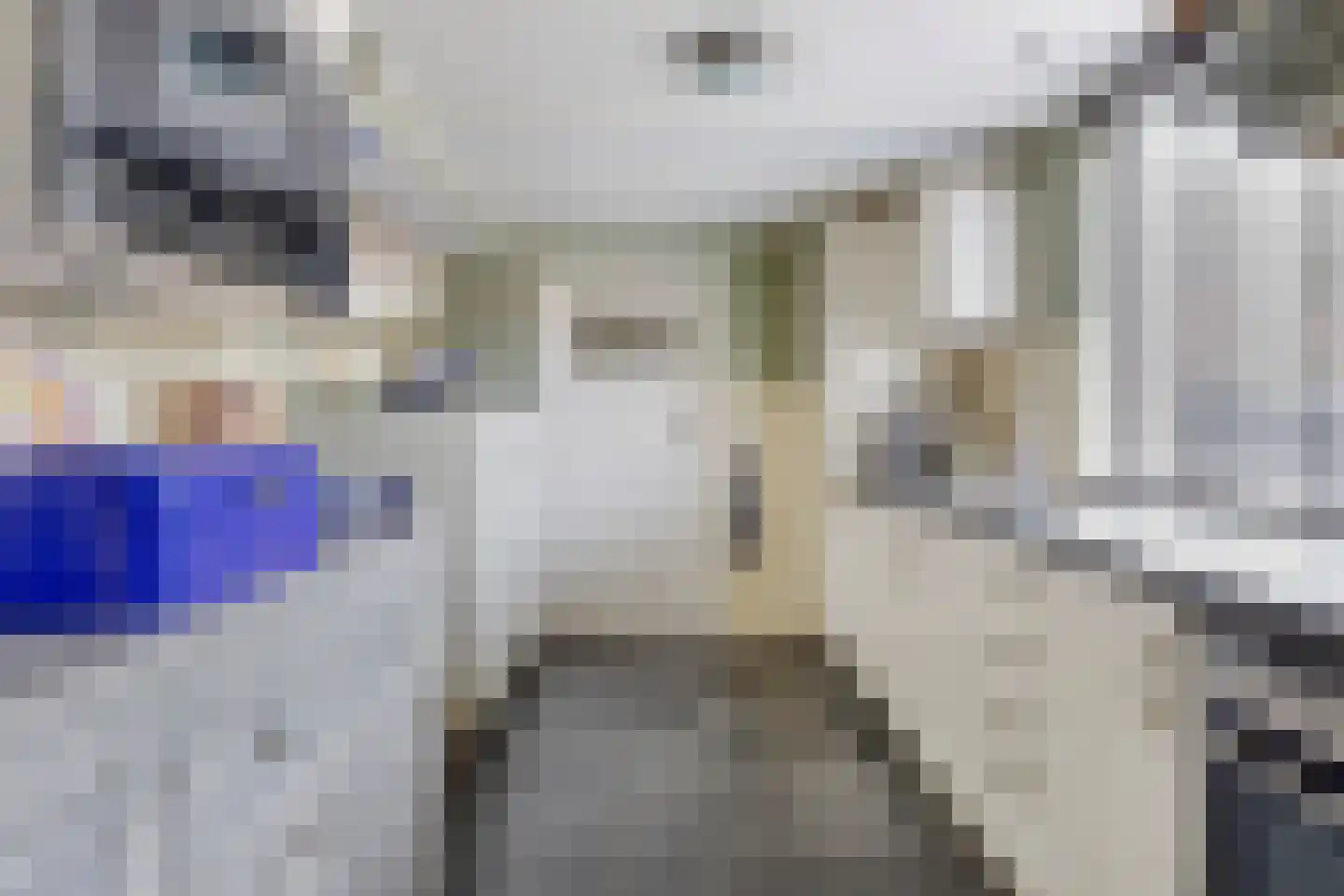 Oost Voorgors 40 Middelharnis thumbnail 18