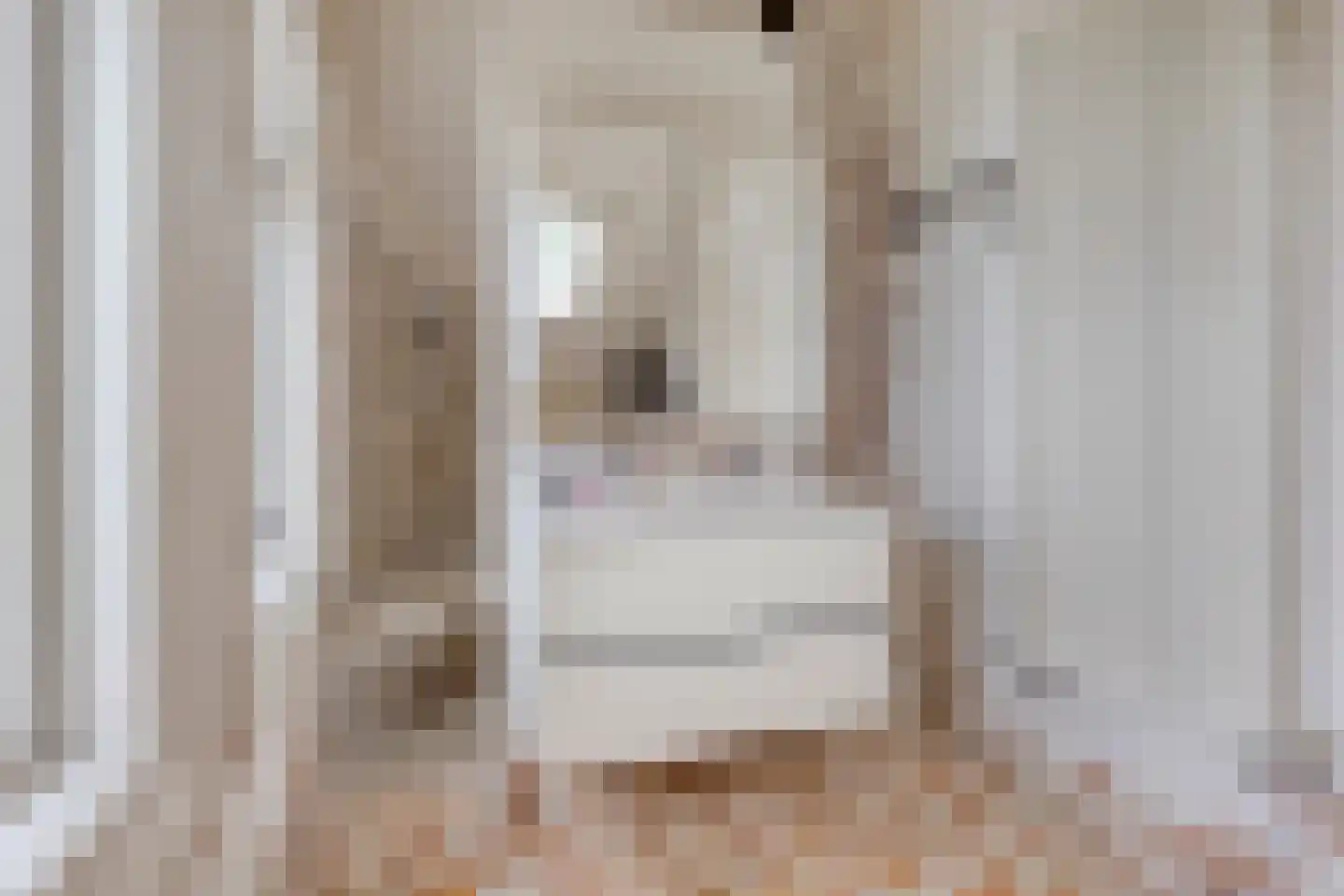 Oost Voorgors 40 Middelharnis thumbnail 26
