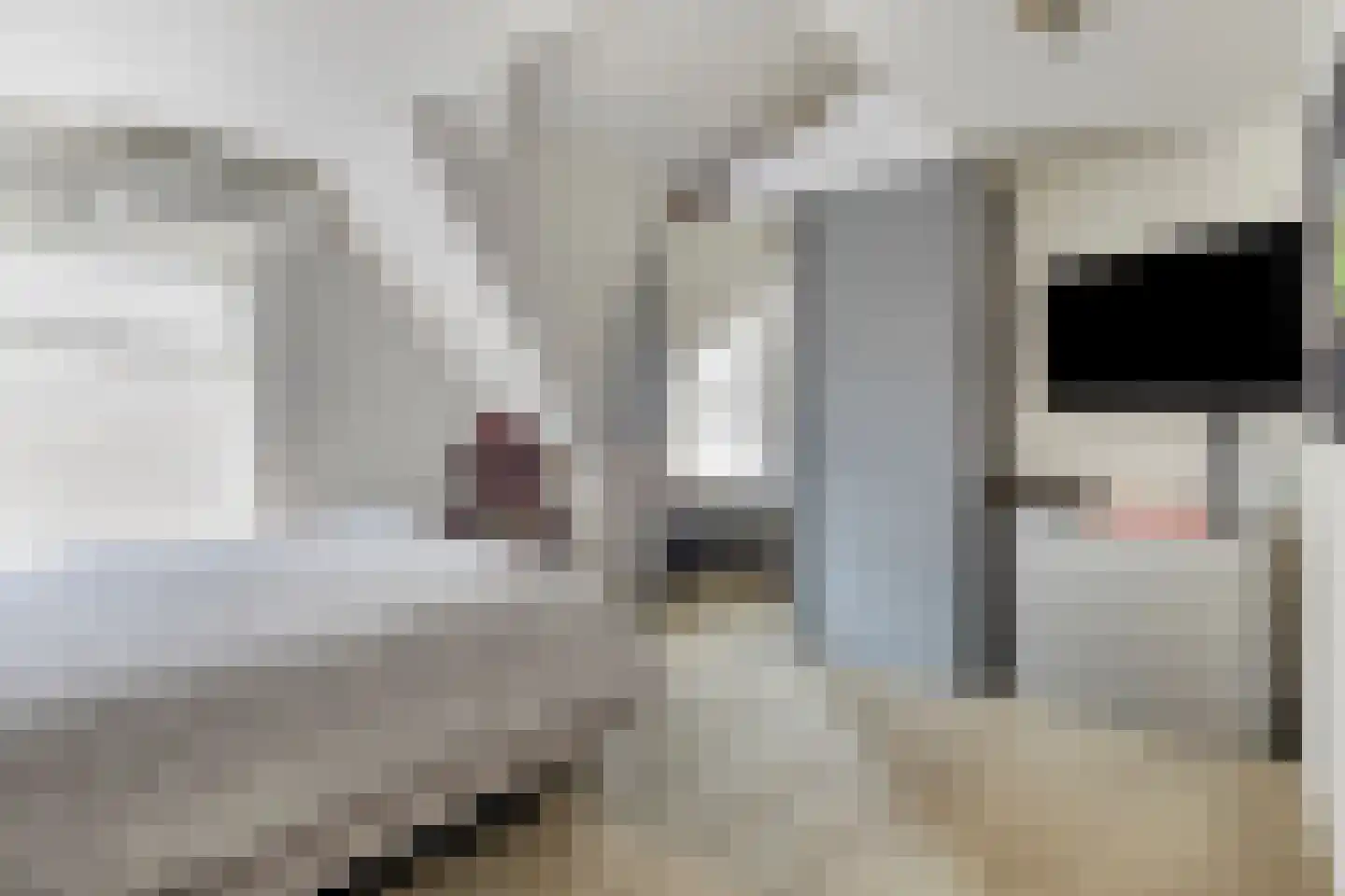 Oost Voorgors 40 Middelharnis thumbnail 27