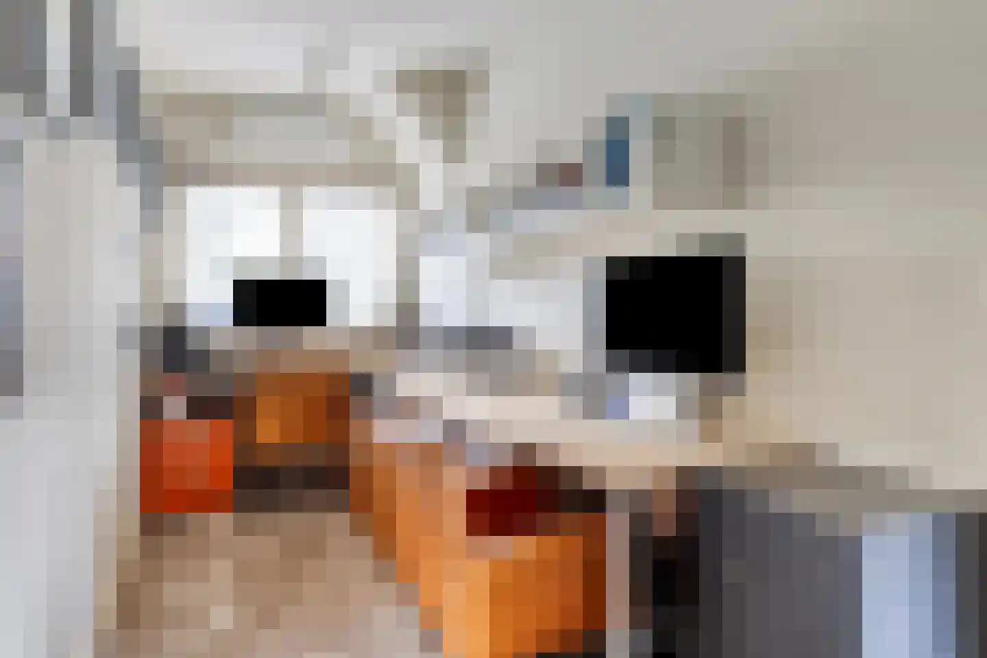 Oost Voorgors 40 Middelharnis thumbnail 7