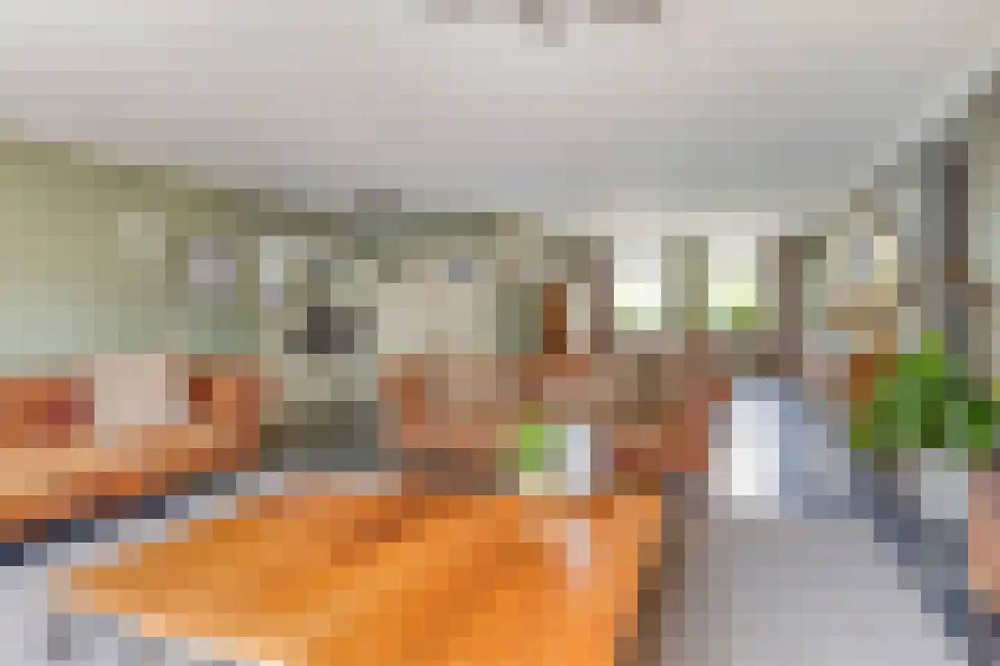 Oost Voorgors 40 Middelharnis thumbnail 8
