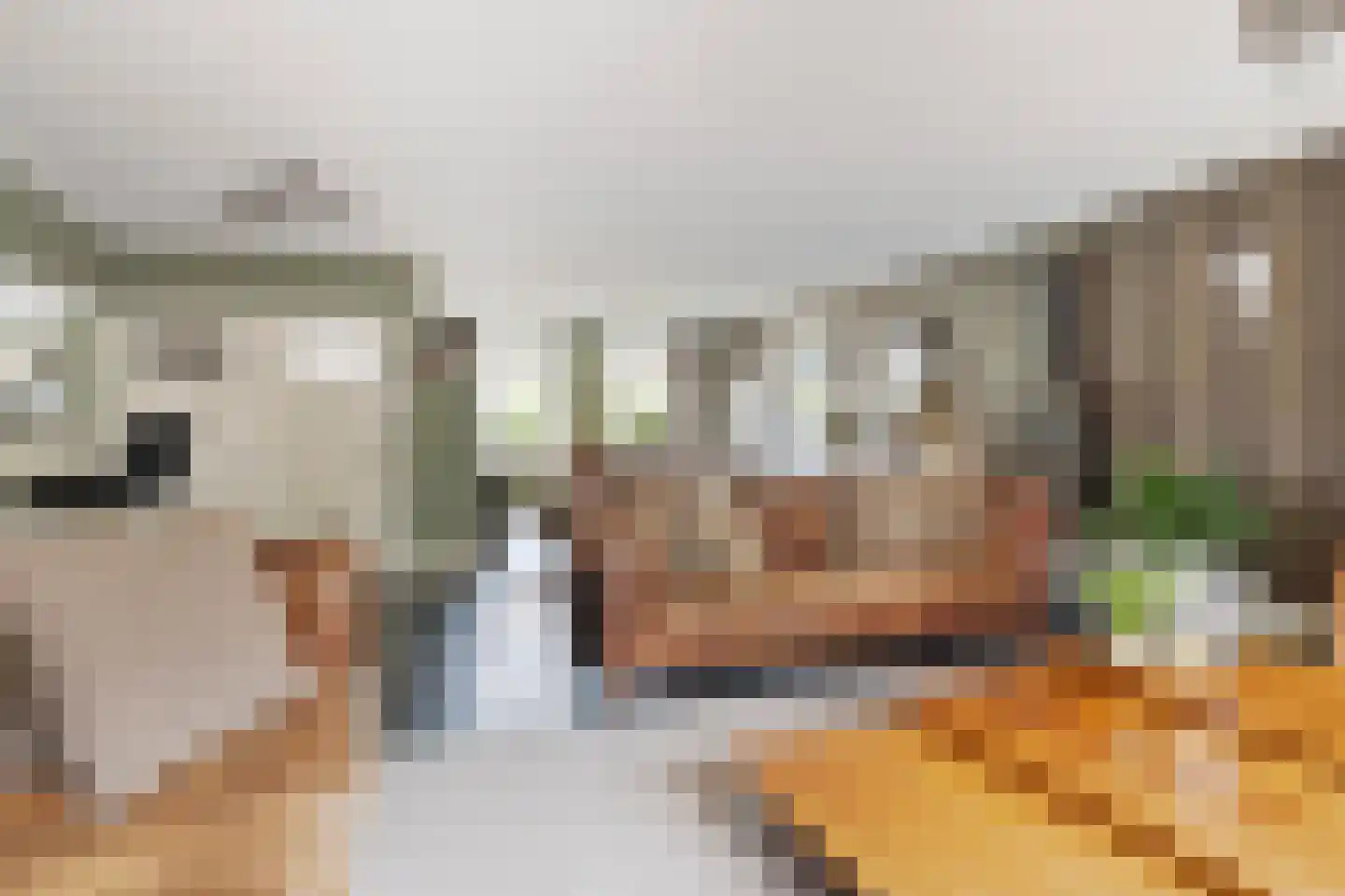 Oost Voorgors 40 Middelharnis thumbnail 9