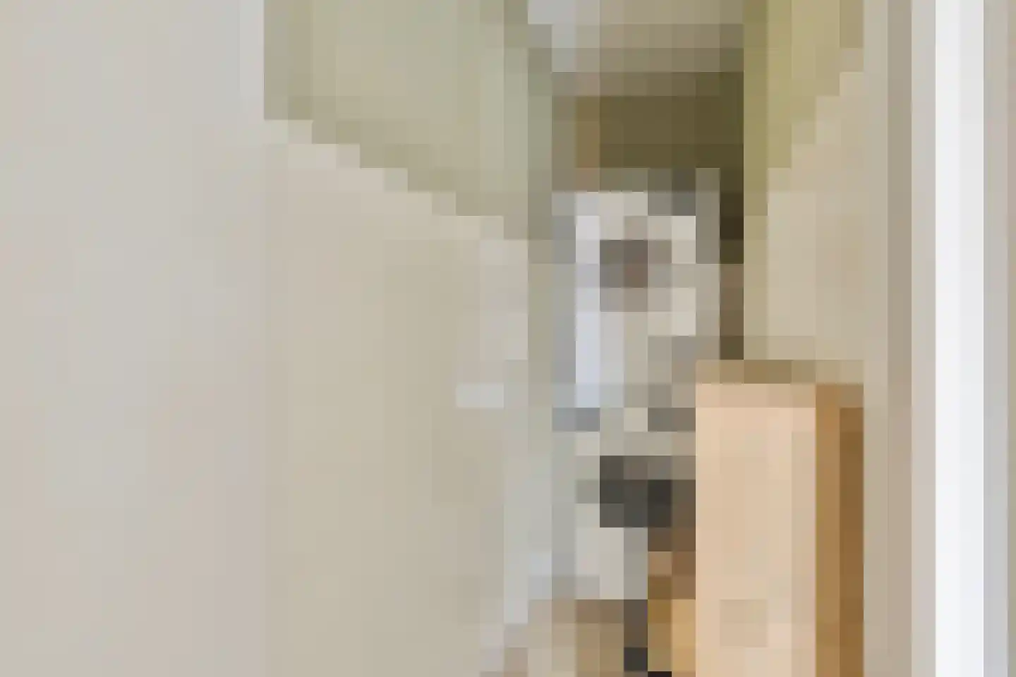Oost Voorgors 50 Middelharnis thumbnail 15