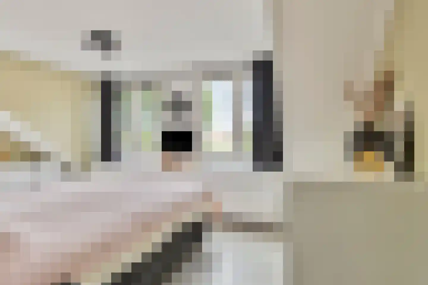 Oost Voorgors 50 Middelharnis thumbnail 17