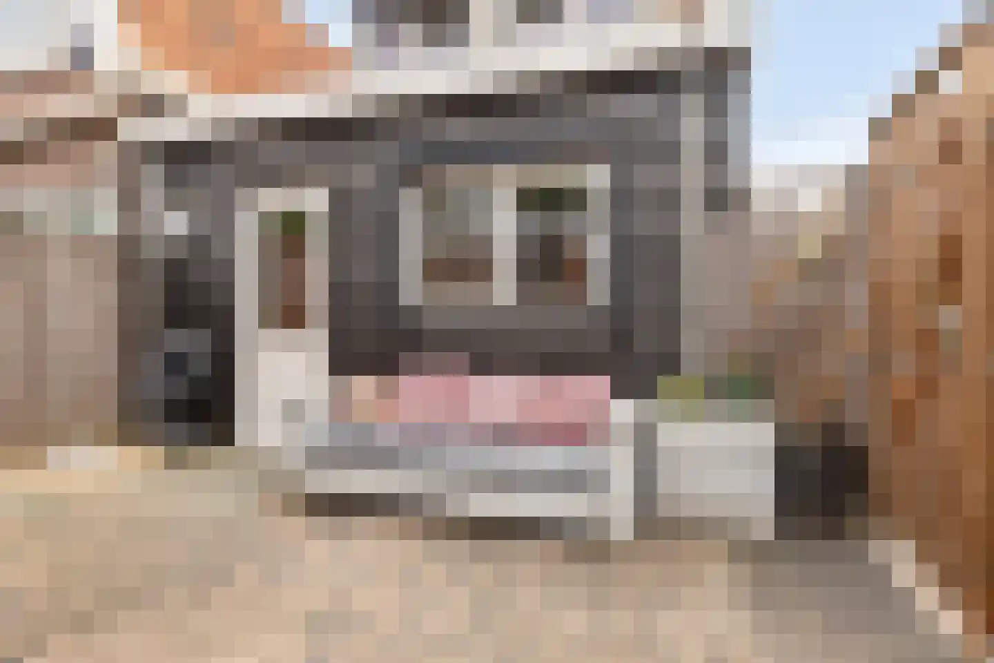 Oost Voorgors 50 Middelharnis thumbnail 26