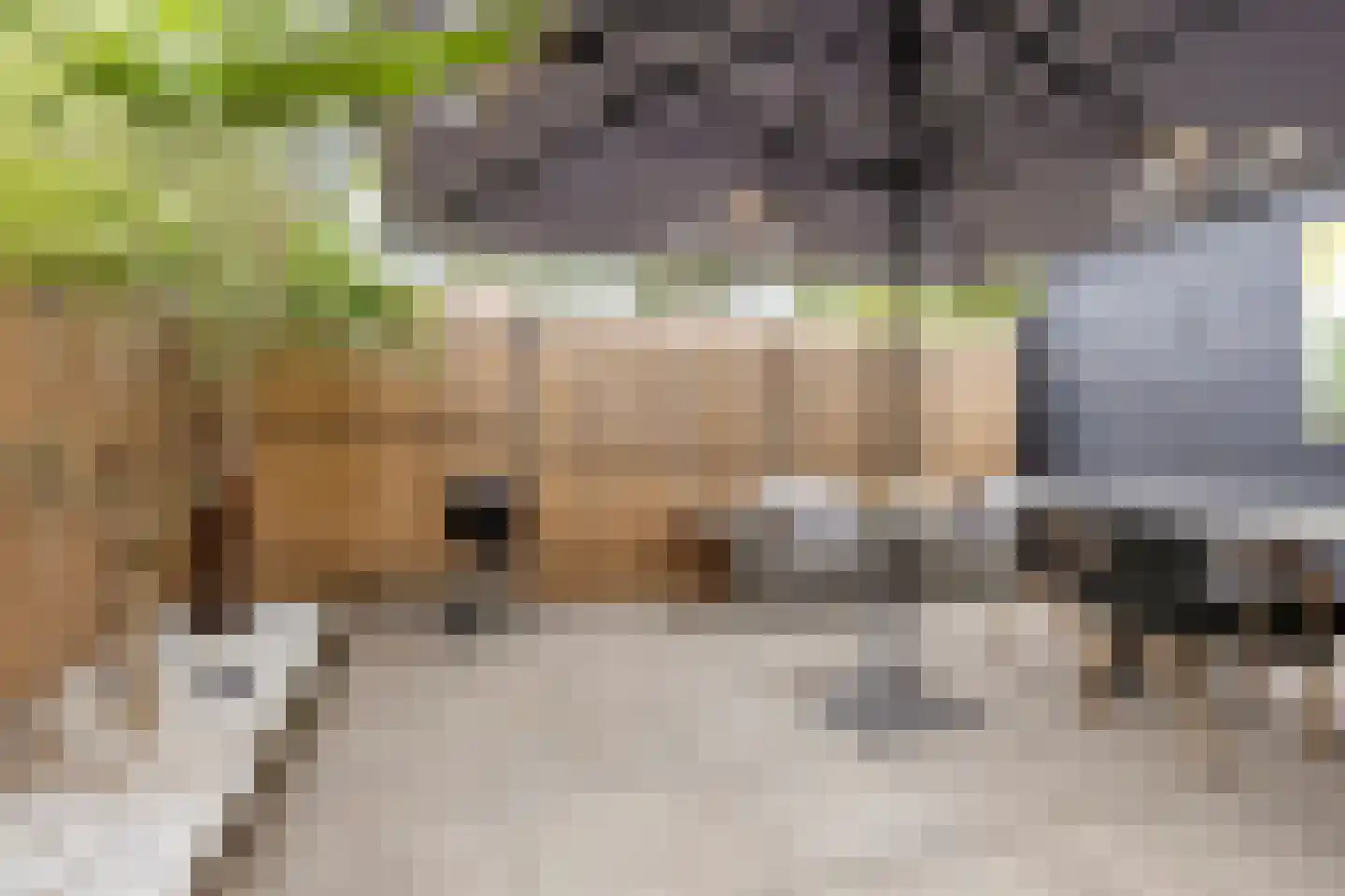 Oost Voorgors 50 Middelharnis thumbnail 28