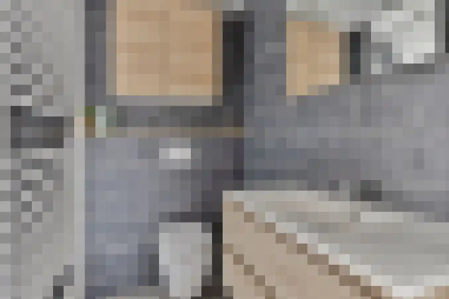 Oost Voorgors 50 Middelharnis thumbnail 4