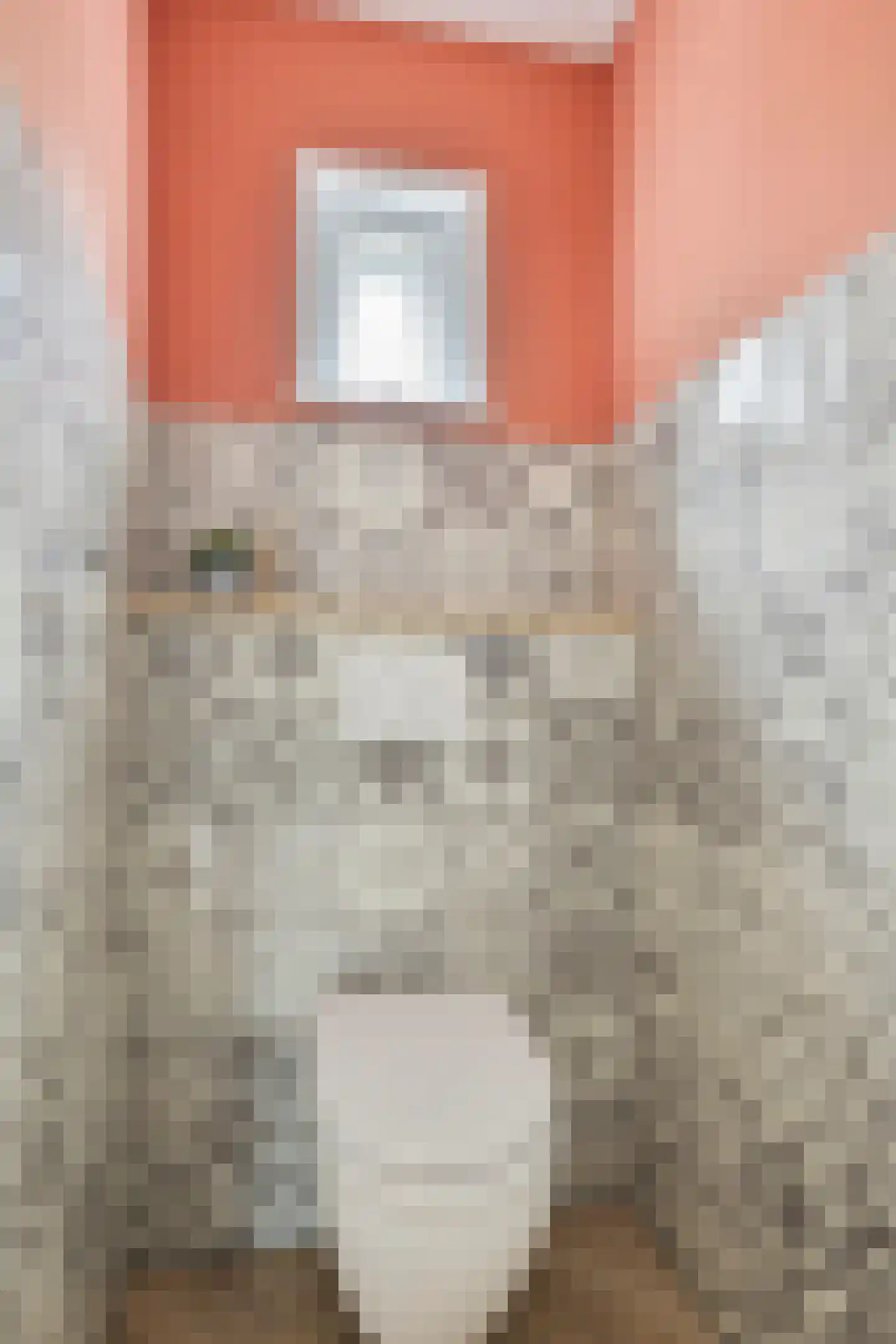 Oost Voorgors 50 Middelharnis thumbnail 7