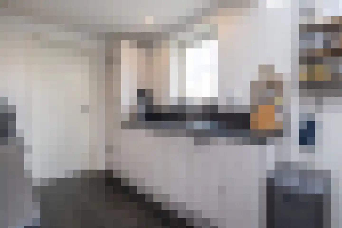 Oost Voorgors 99 Middelharnis thumbnail 11