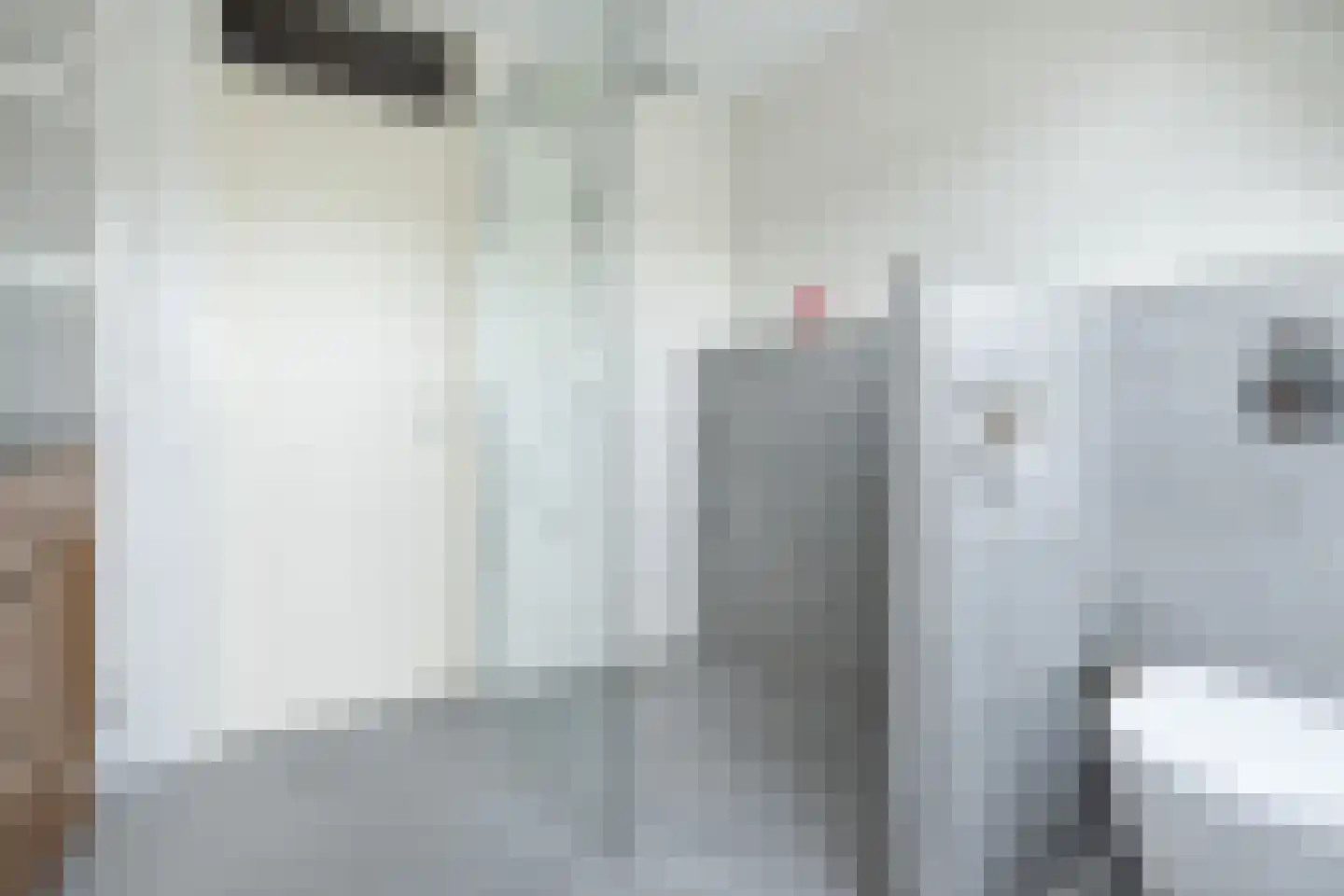 Oost Voorgors 99 Middelharnis thumbnail 26
