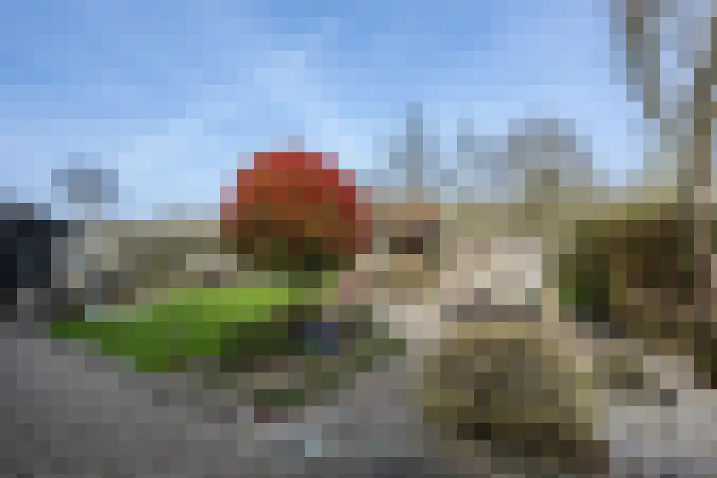 Oost Voorgors 99 Middelharnis thumbnail 34