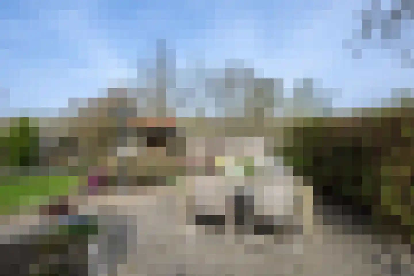Oost Voorgors 99 Middelharnis thumbnail 35