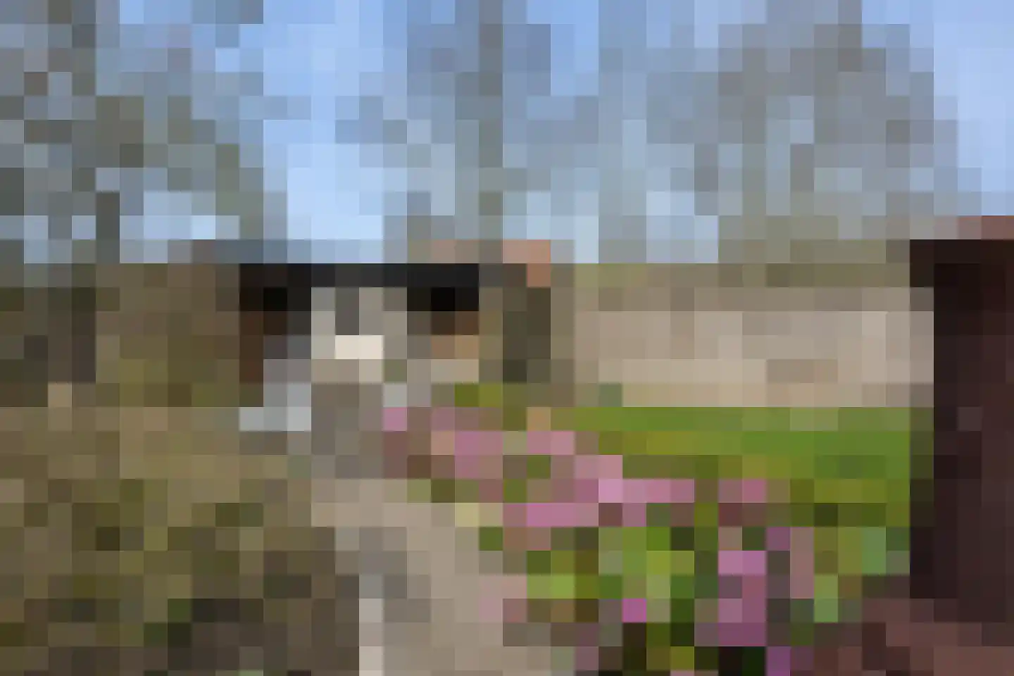 Oost Voorgors 99 Middelharnis thumbnail 37