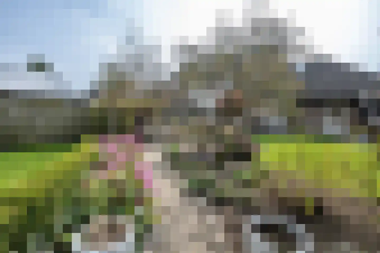 Oost Voorgors 99 Middelharnis thumbnail 40