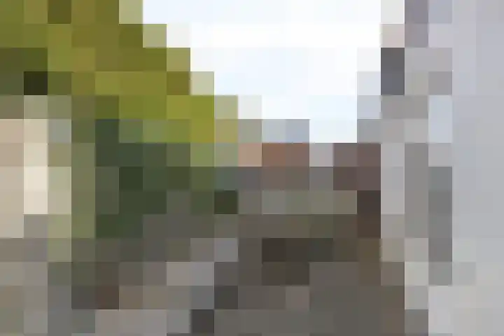 Oost-Voorstraat 108 Oud-Beijerland thumbnail 36