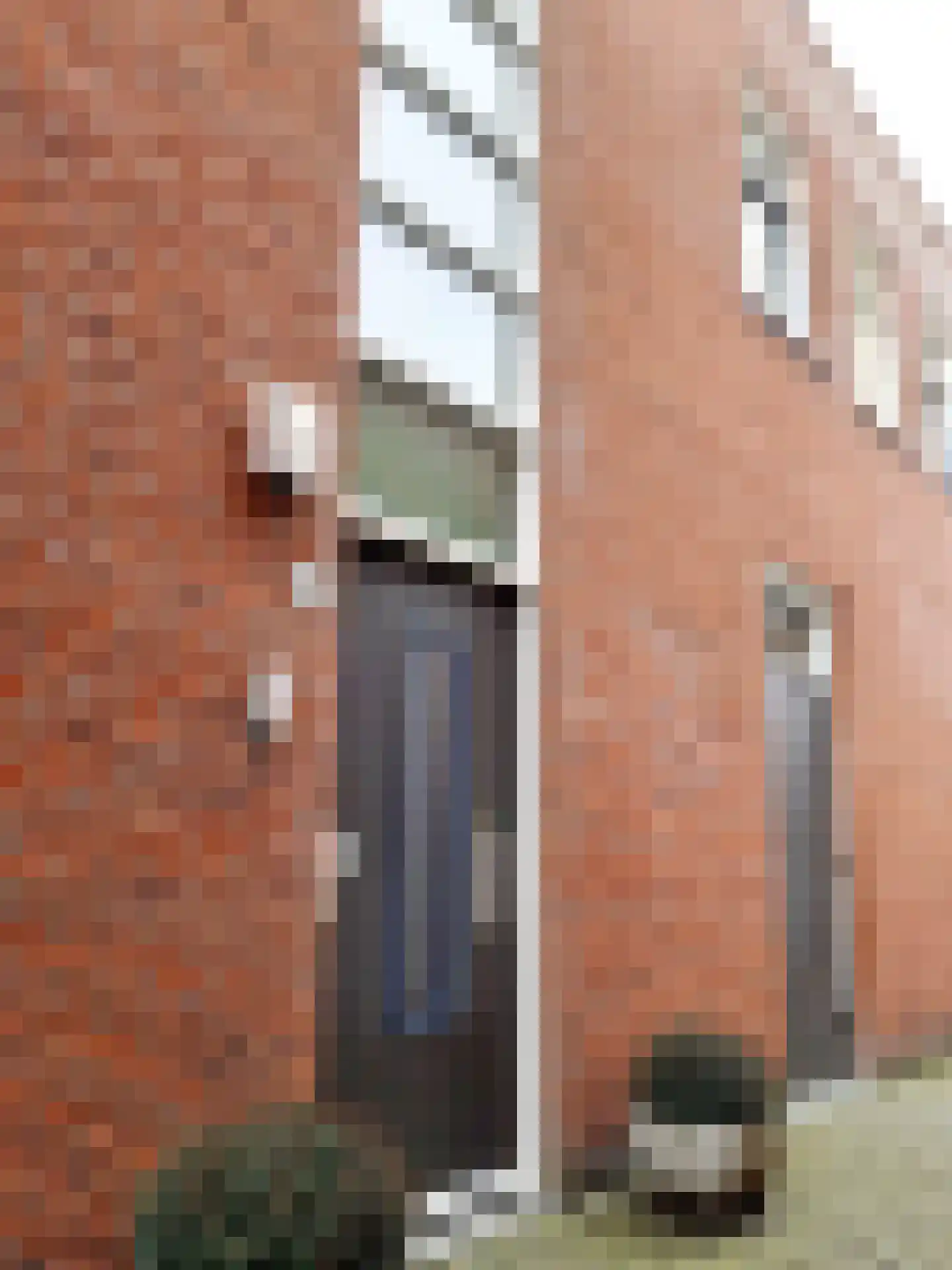 Oost-Voorstraat 78 Oud-Beijerland thumbnail 5