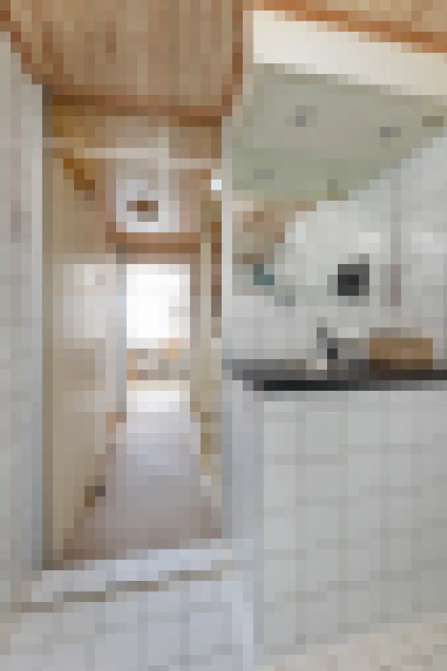 Oostakker 26 Bant thumbnail 24