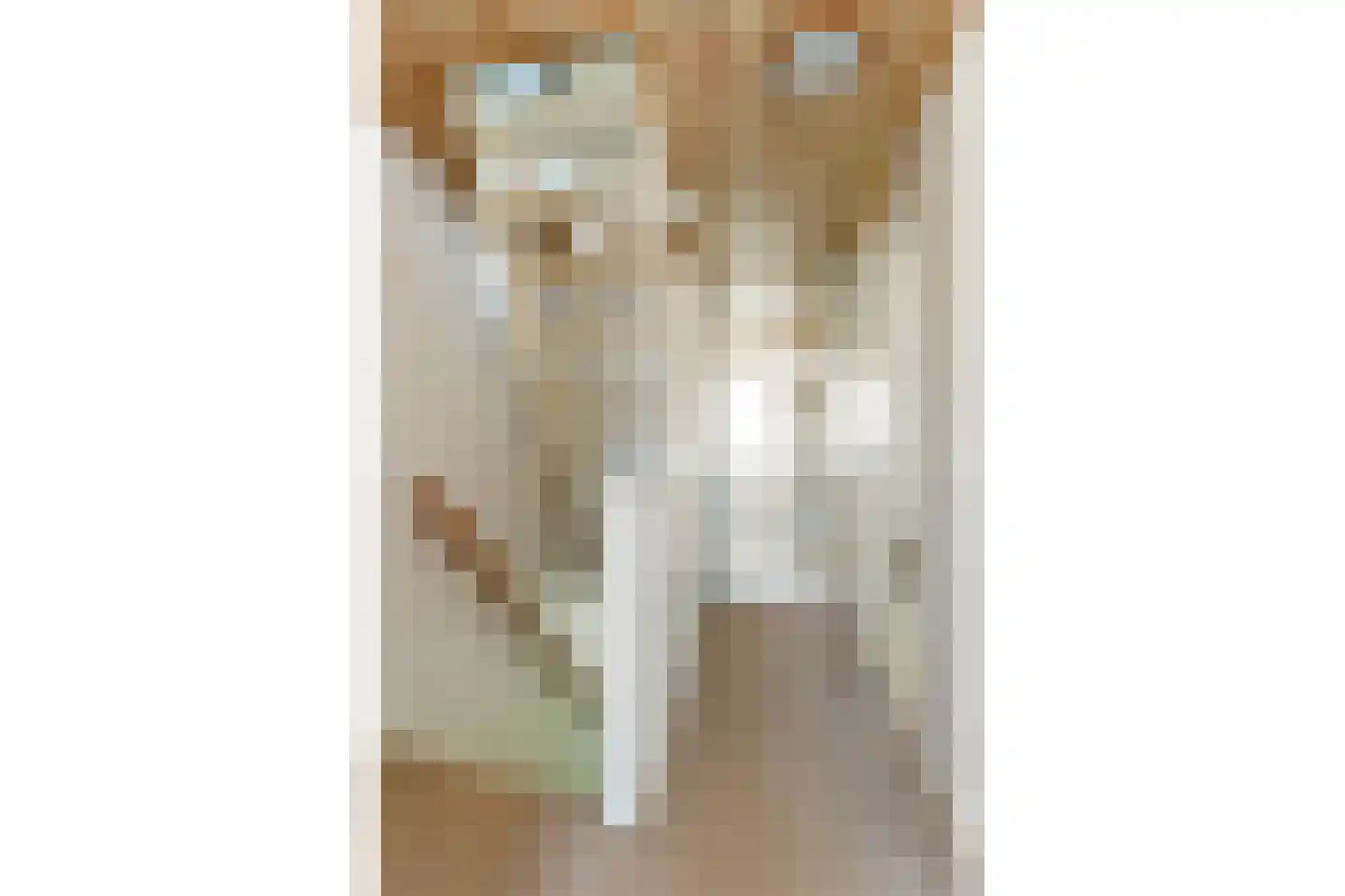 Oostakker 26 Bant thumbnail 25