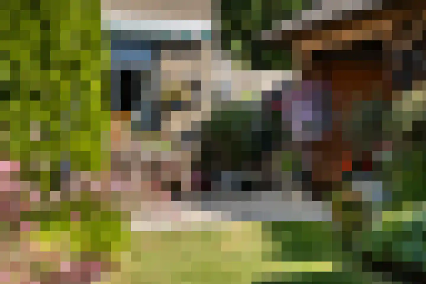 Oostakker 26 Bant thumbnail 32
