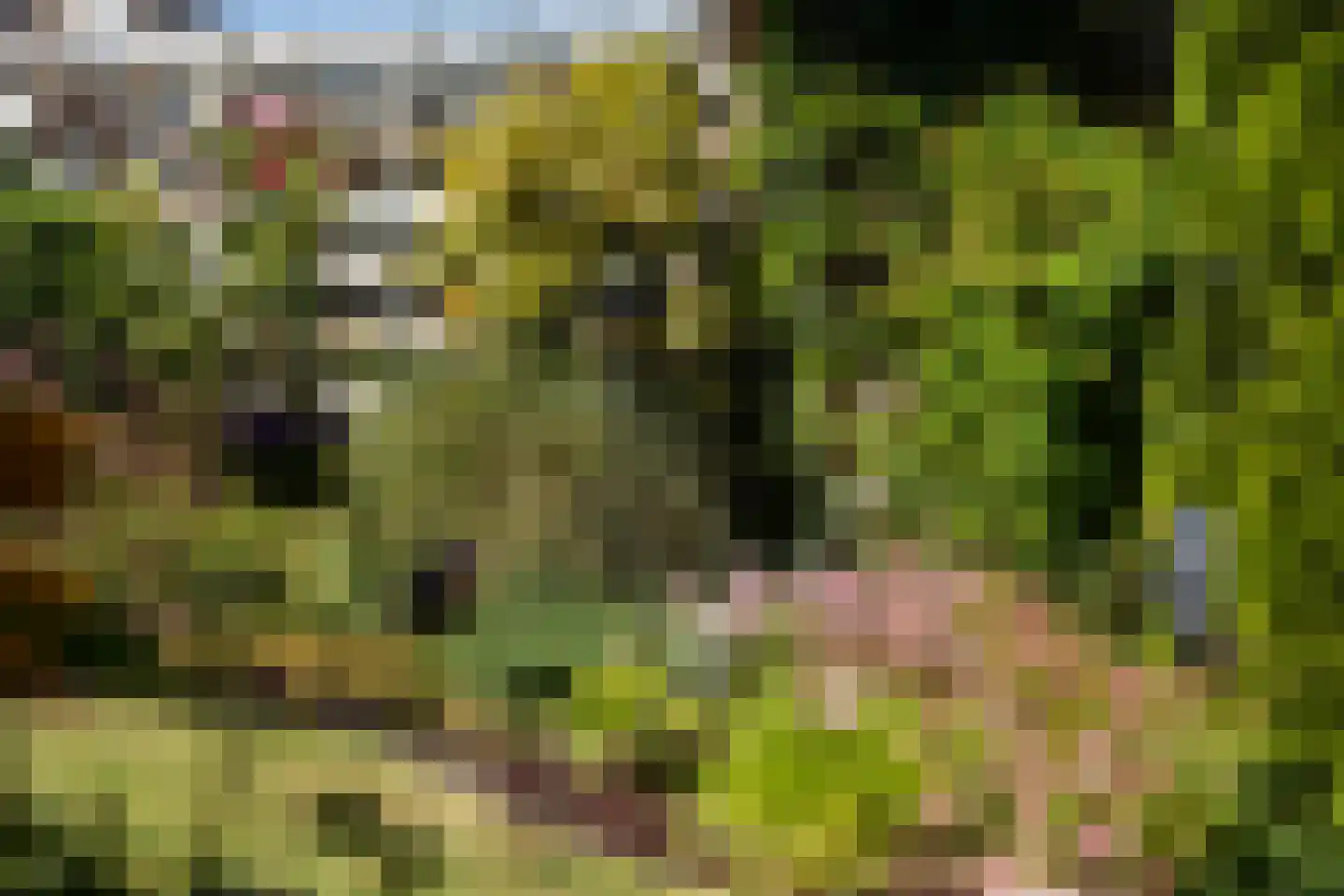 Oostakker 26 Bant thumbnail 36