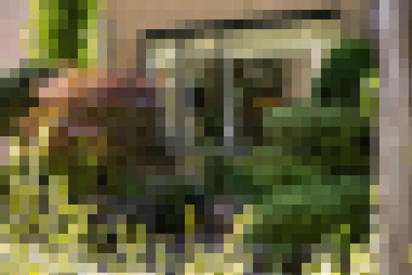 Oostakker 26 Bant thumbnail 39