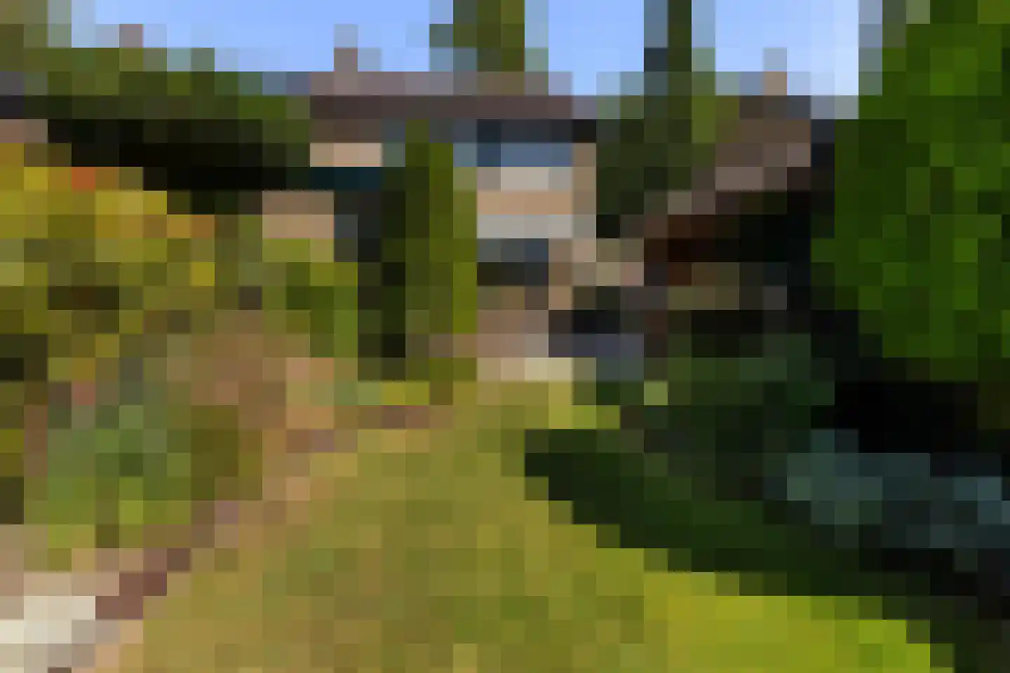 Oostakker 26 Bant thumbnail 4