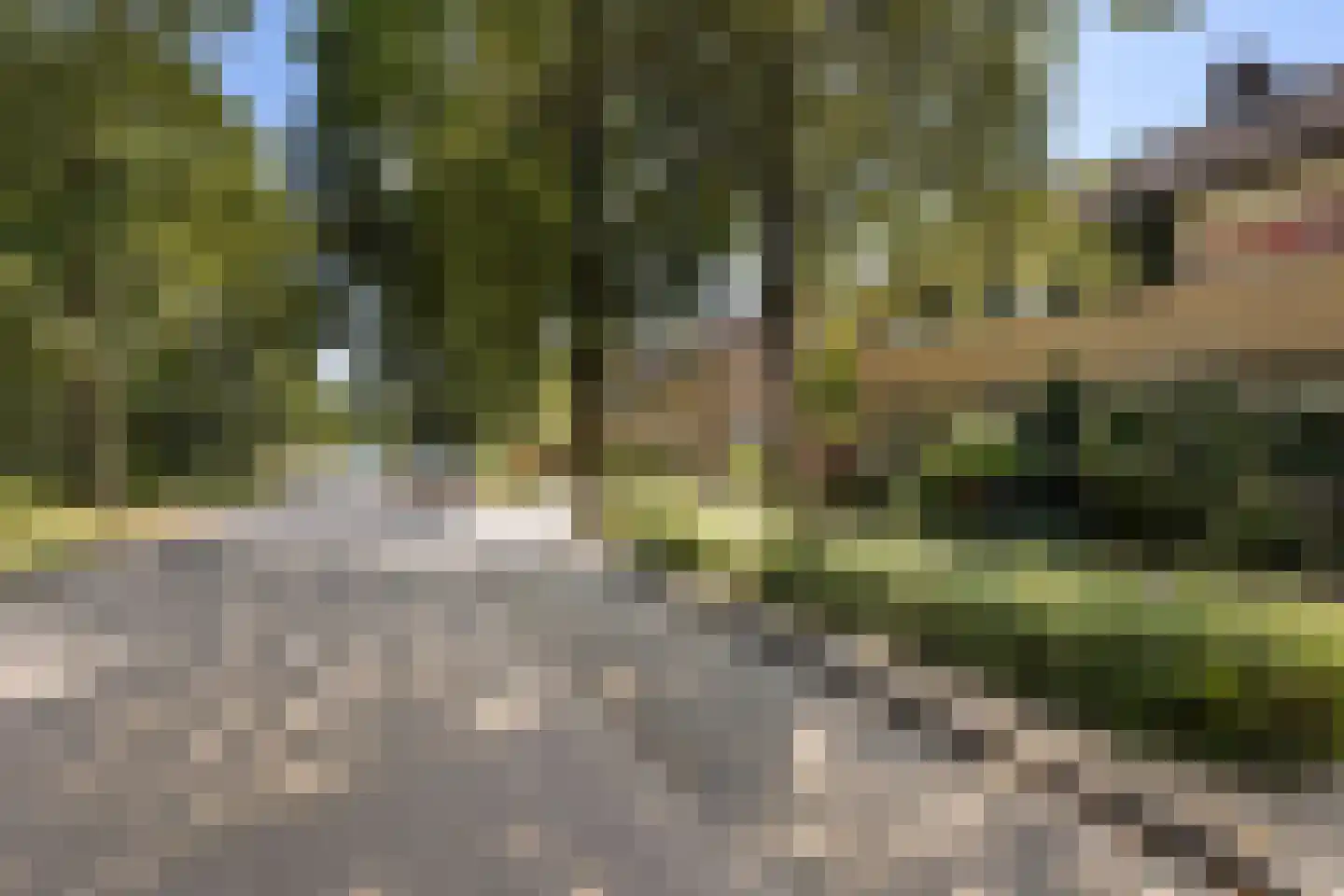 Oostakker 26 Bant thumbnail 41
